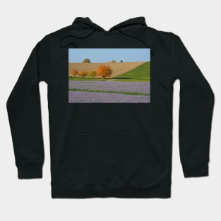 Surprising Autumn Hoodie